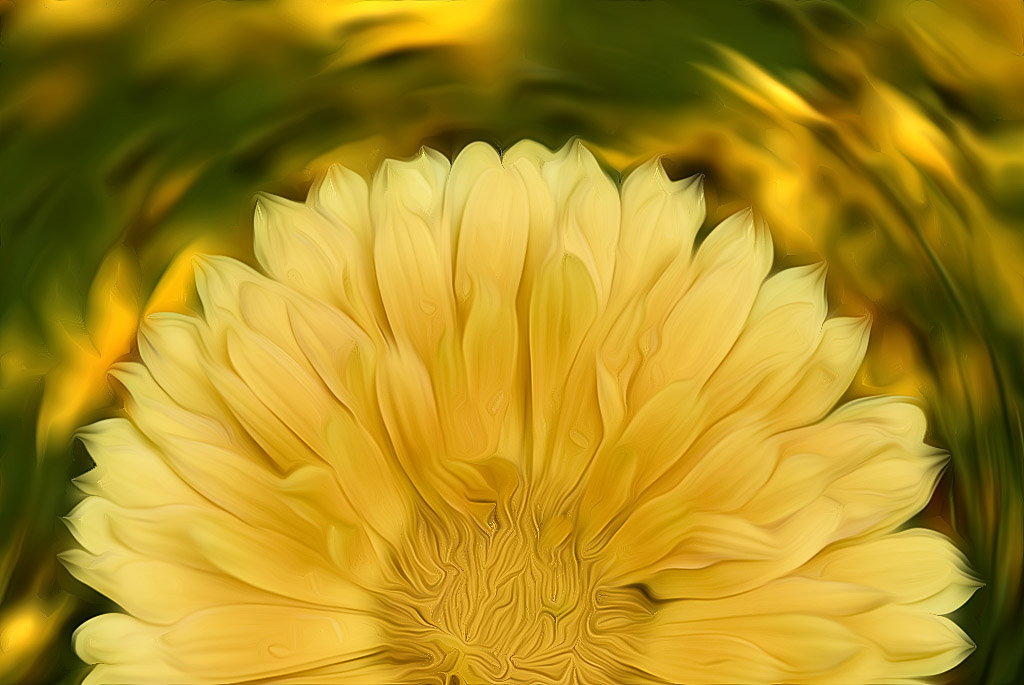 Blume_DDB1649-1 Kopie-1.jpg